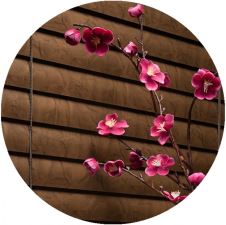 Horizontal Blinds
